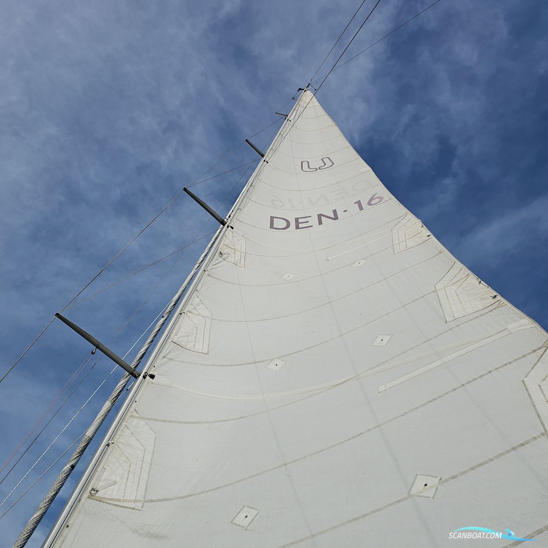 Luffe 44