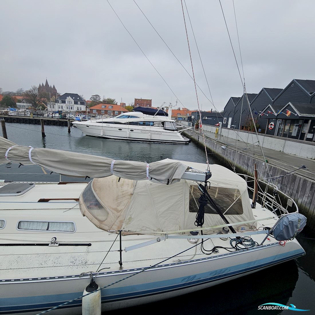 Luffe 44