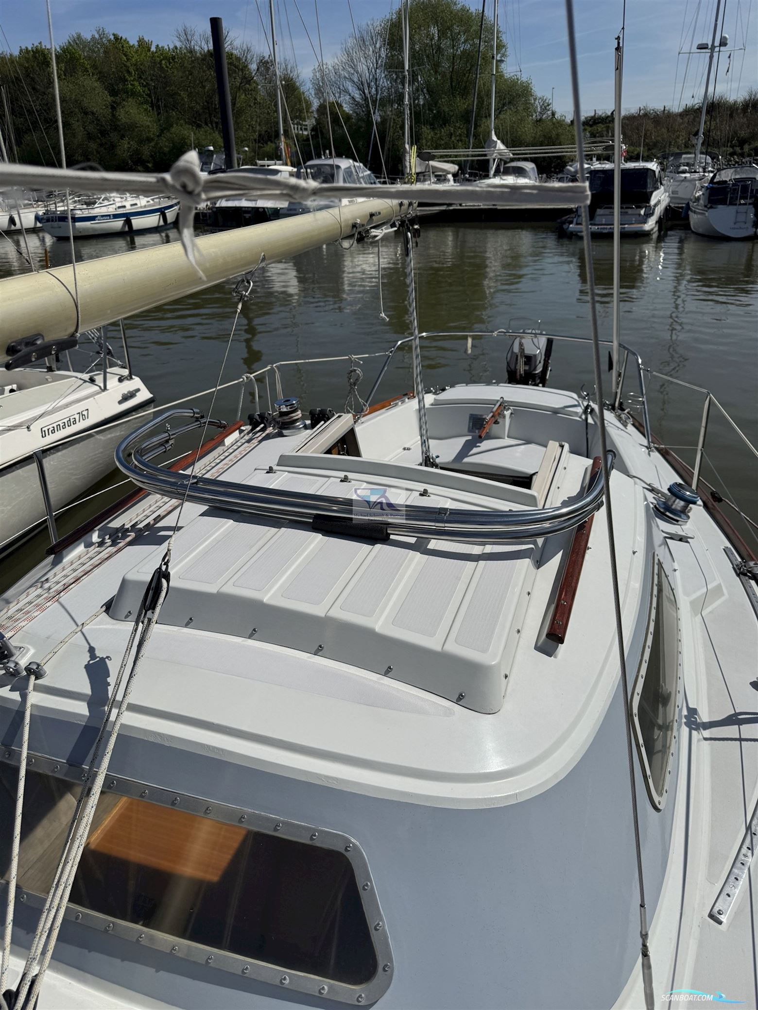 Mallard Ecume de Mer