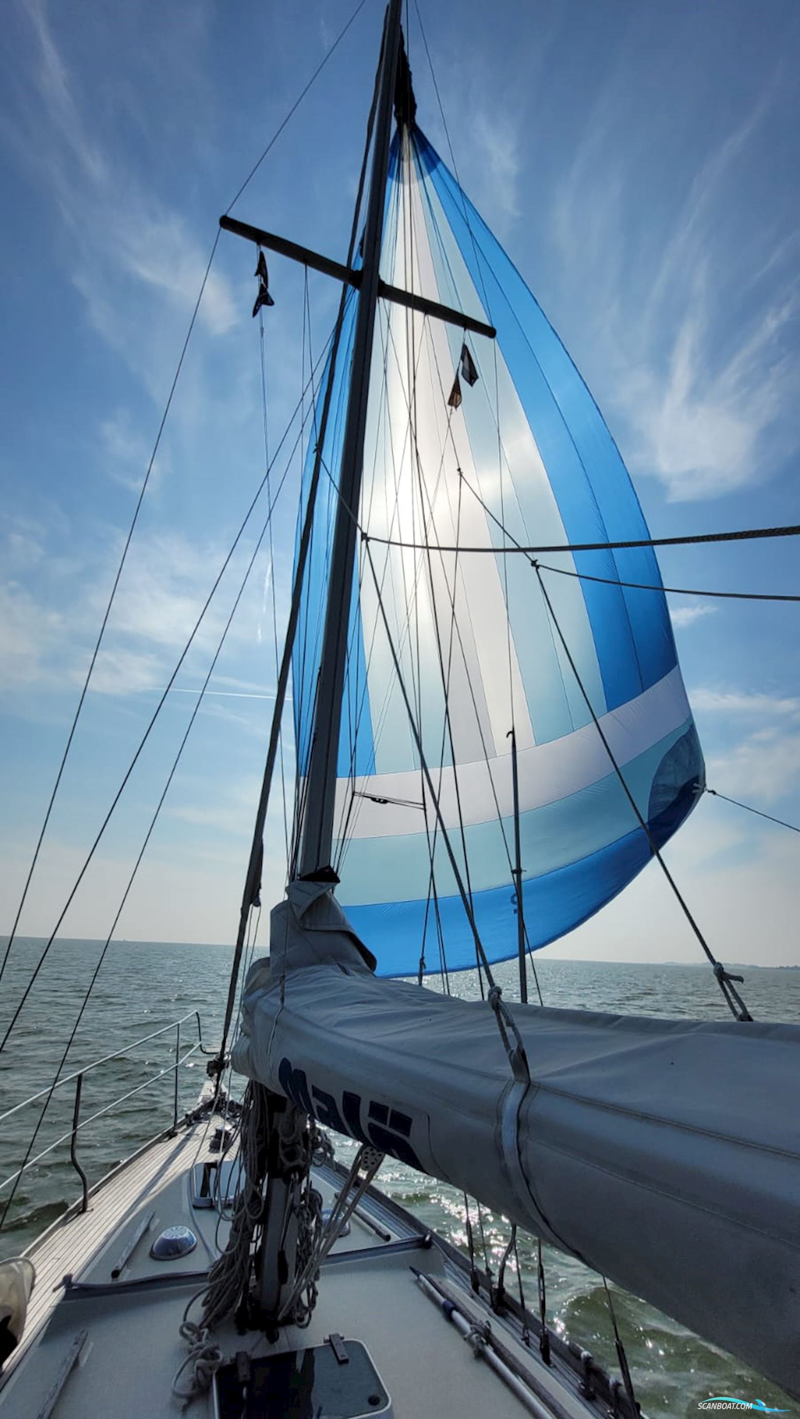 Malö 40