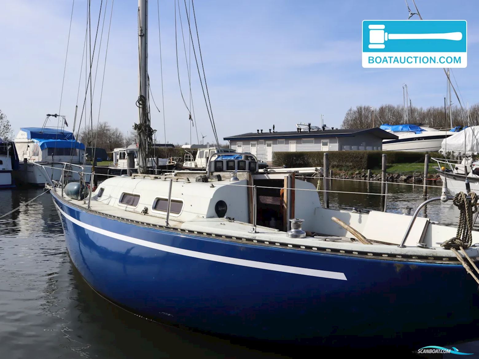Martin 29