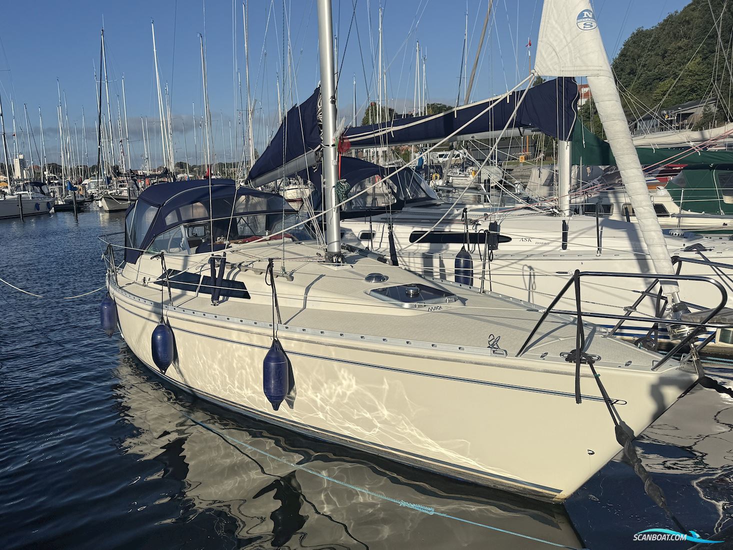 Maxi 33