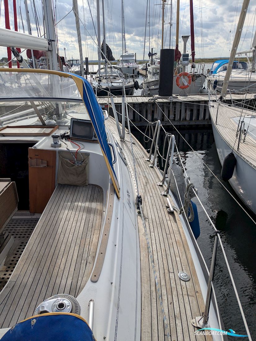 Maxi 38 - Nimbus