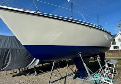 Maxi 84 Segelbåt 1978, med Volvo Penta D1-13 motor, Danmark