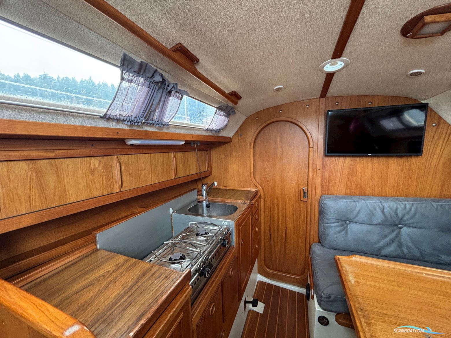 Maxi Fenix Succé