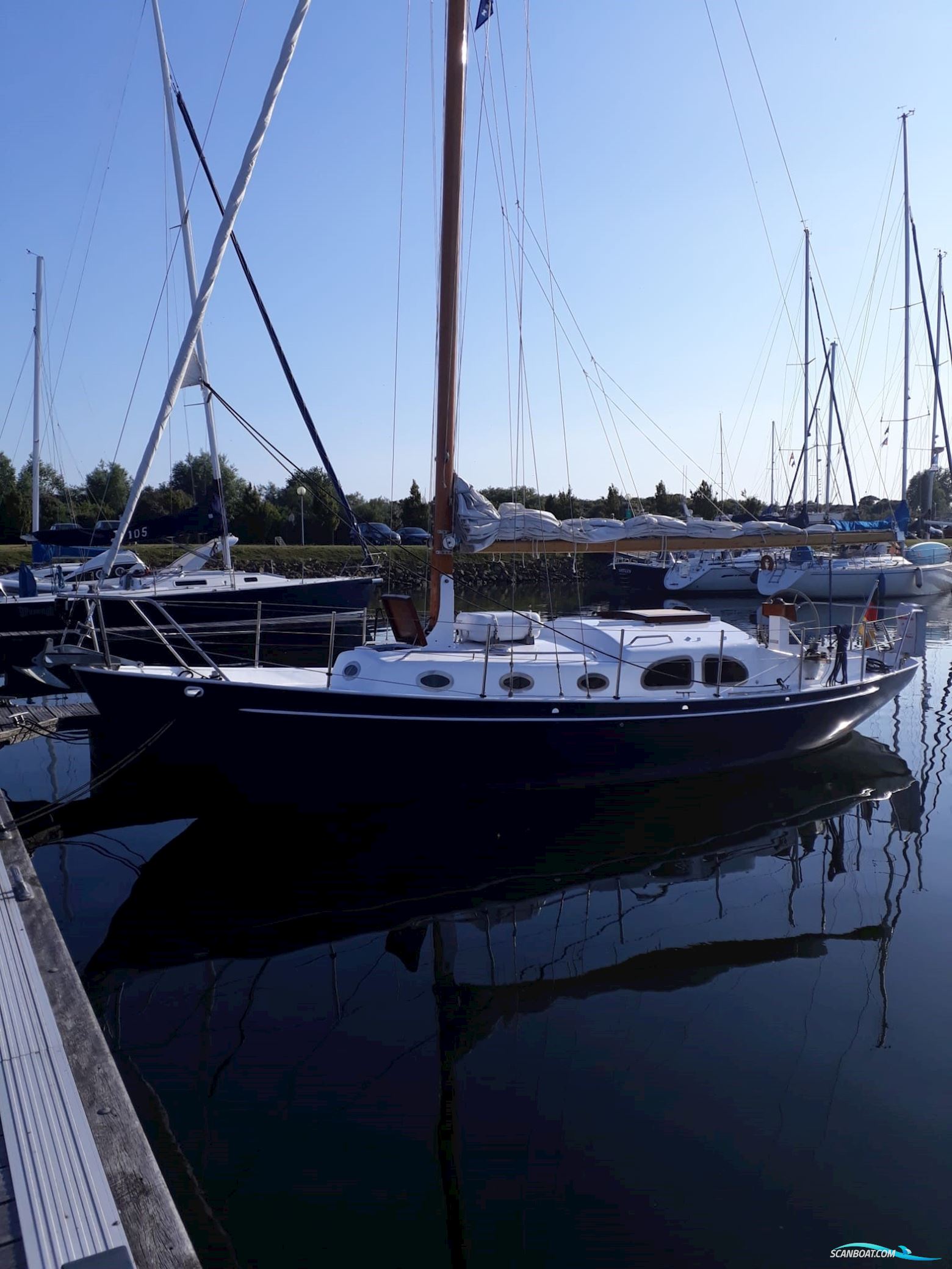 Moerman 29