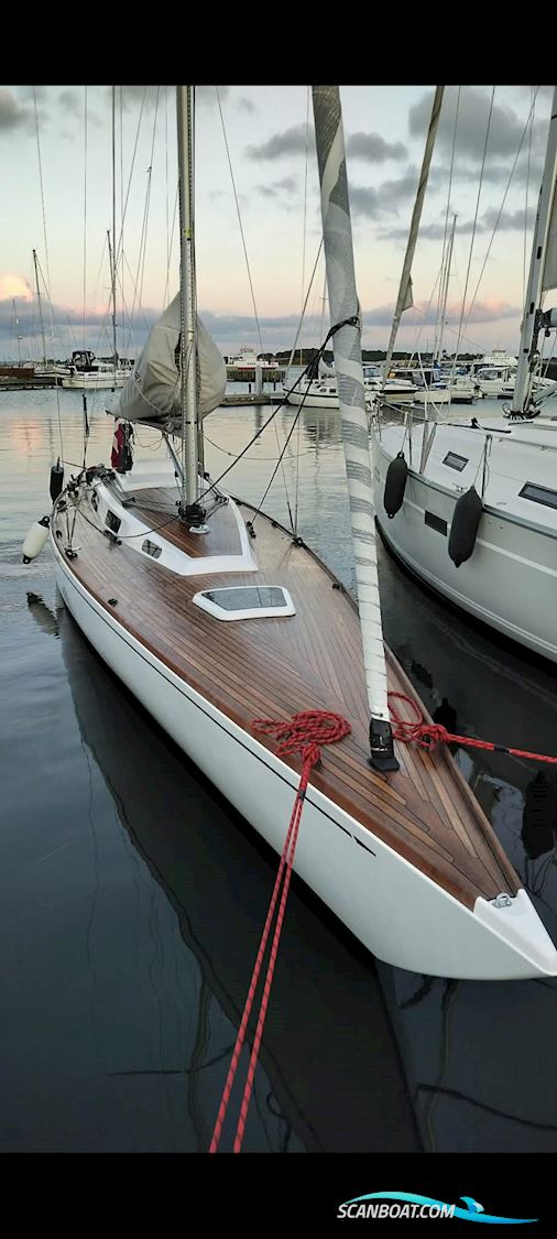 Molich Classic