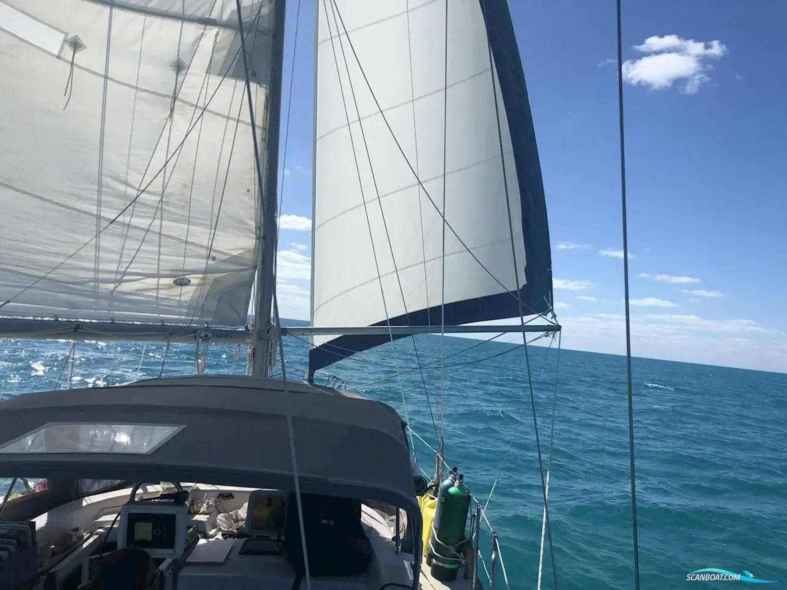 Morgan 41