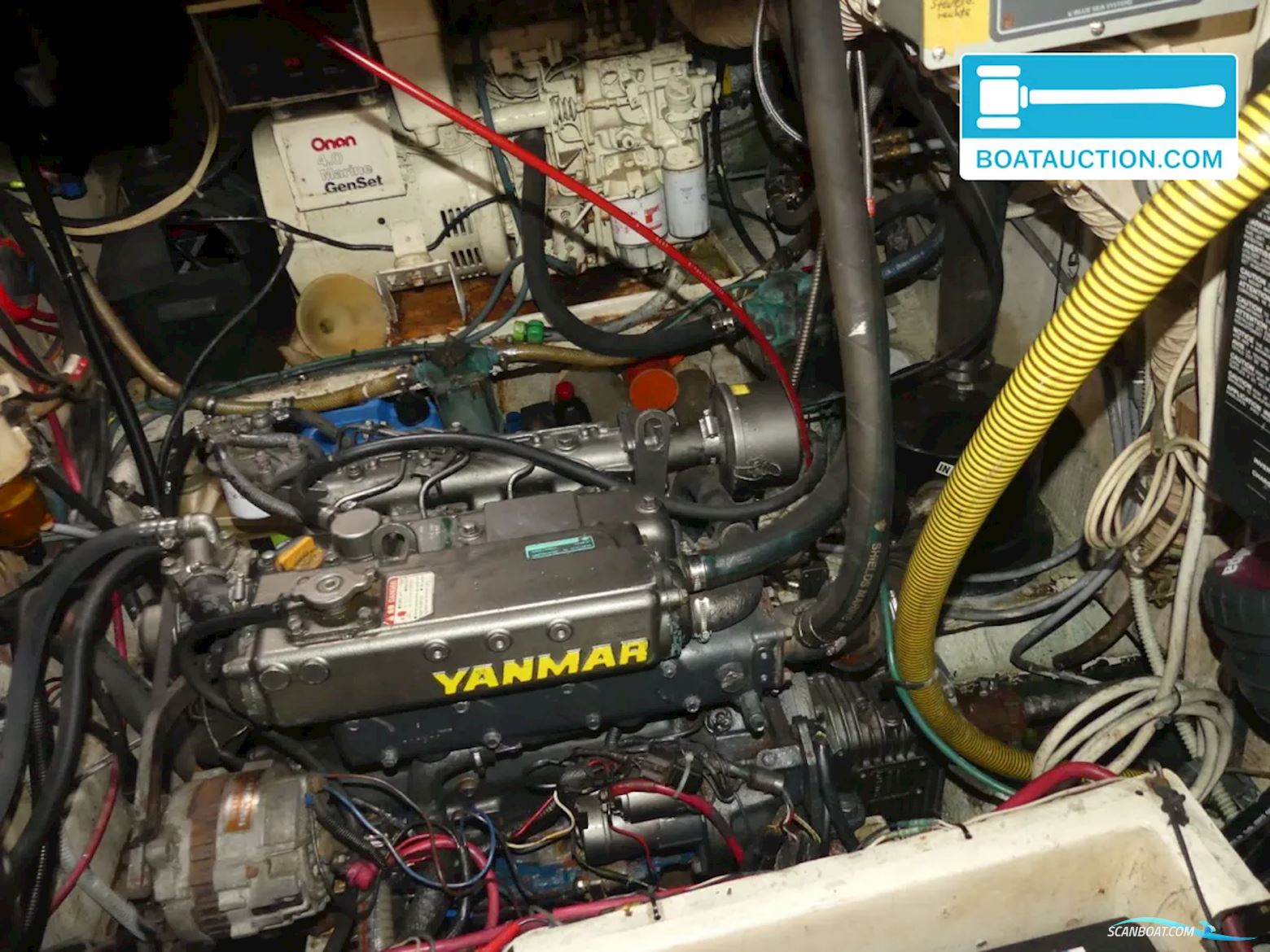 Morgan Out Island 41