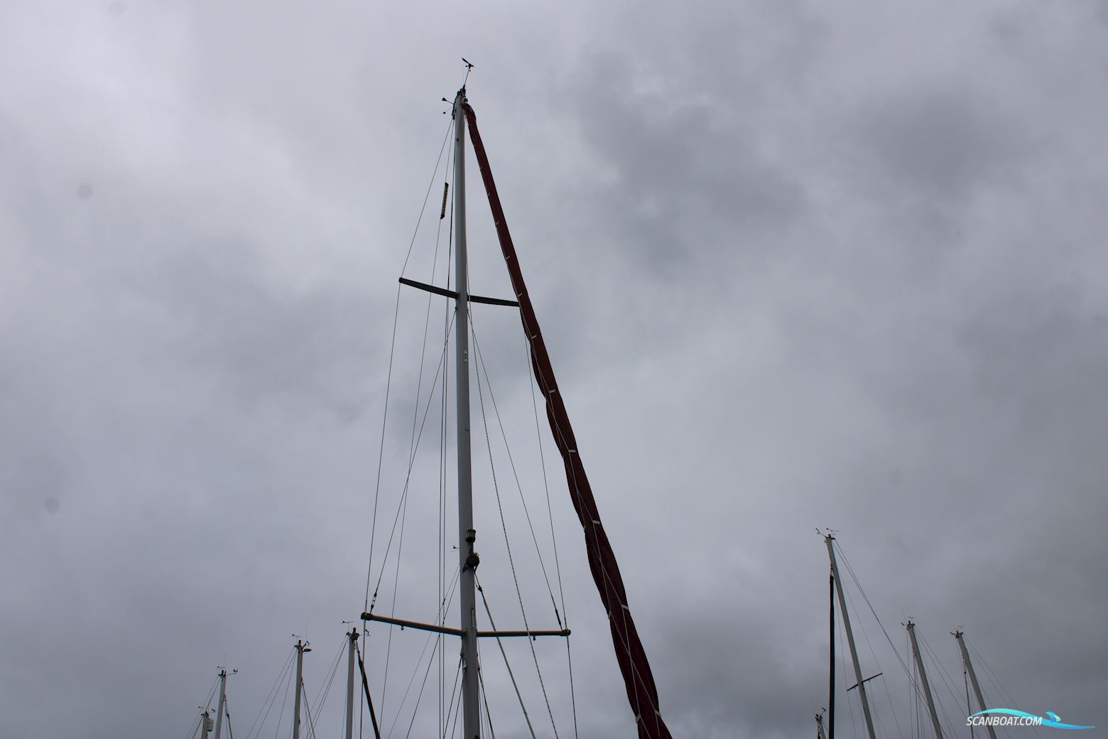 Najad 34