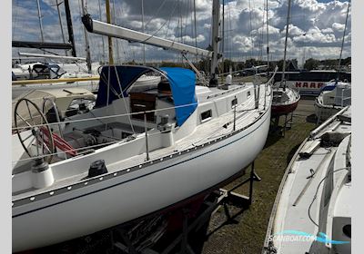 Nautors Swan 37 Segelbåt 1977, med Nanni 4.150HE motor, Danmark