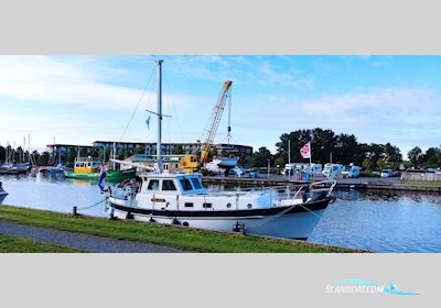 Neptunus Aalst Dartsailer 30 Segelbåt 1985, Holland