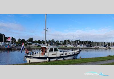 Neptunus Aalst Dartsailer 30 Segelbåt 1985, Holland