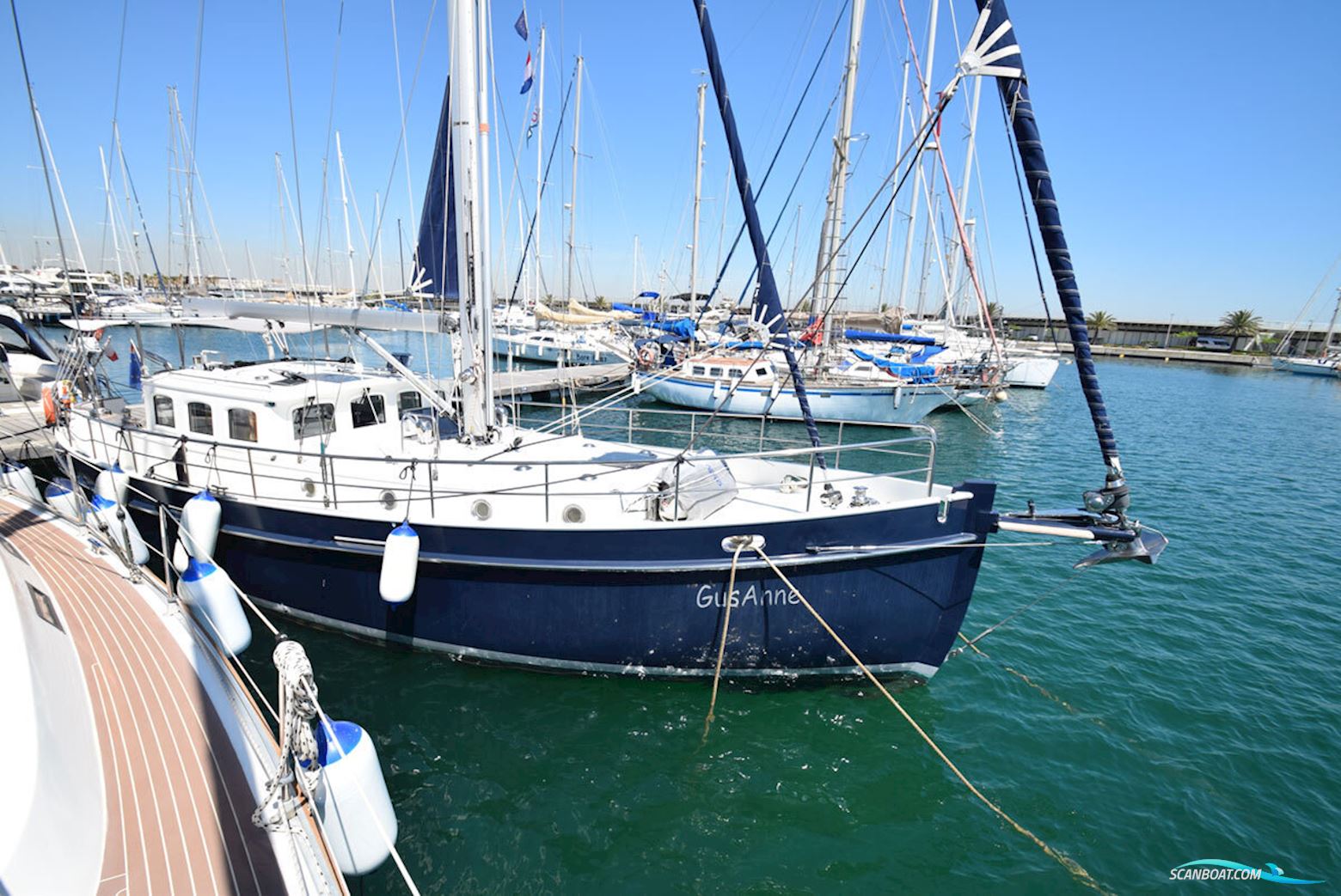 Noordkaper 40