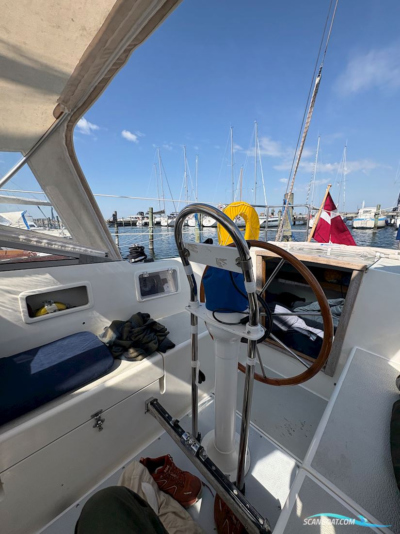 Nordship 29