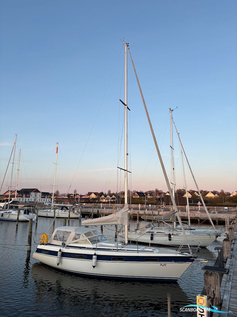 Nordship 29