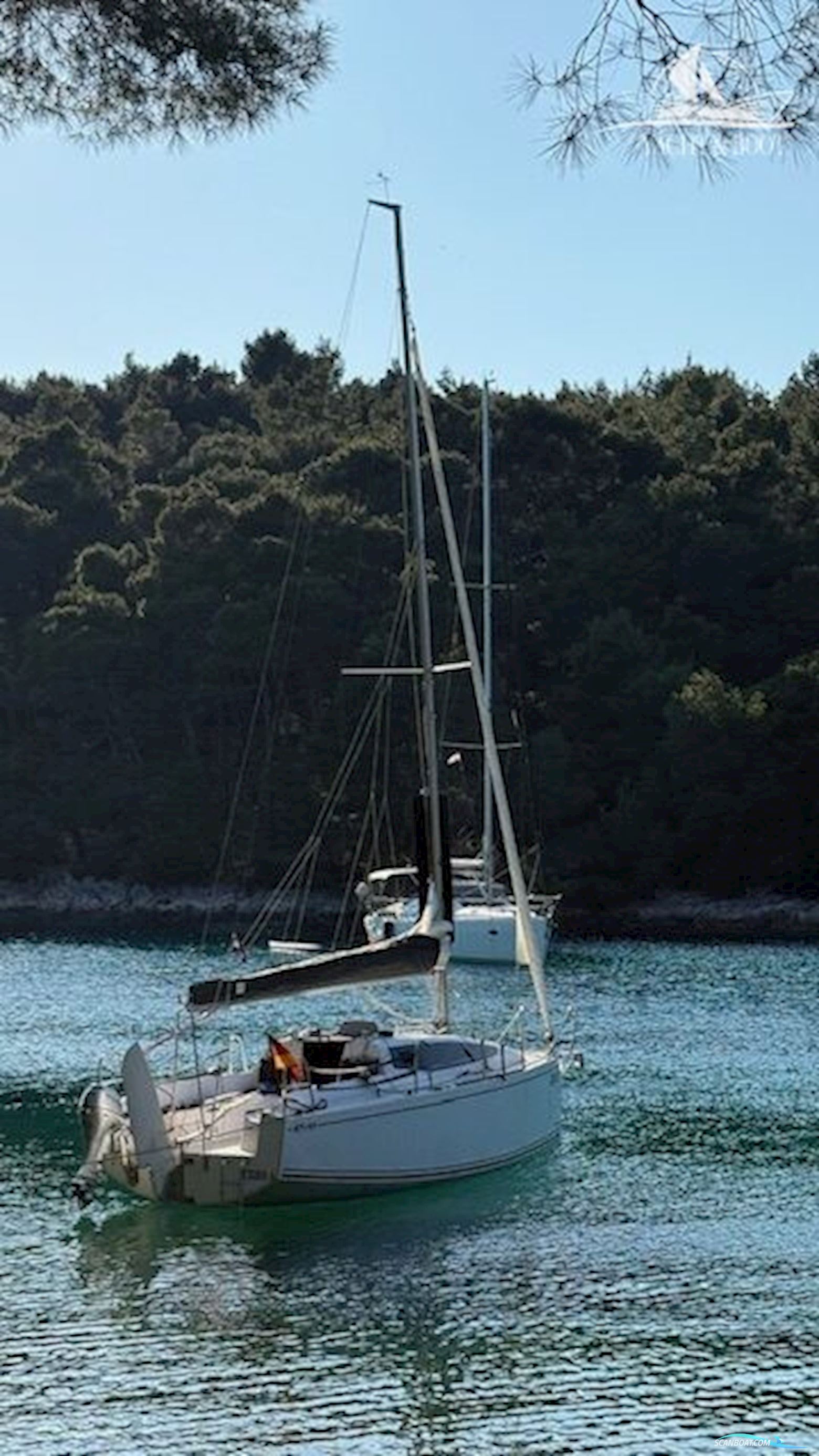 Northmann Maxus 24 Evo