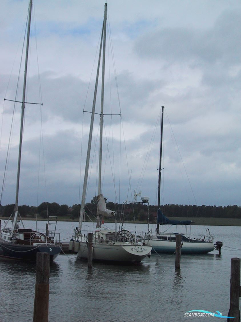 OE 36