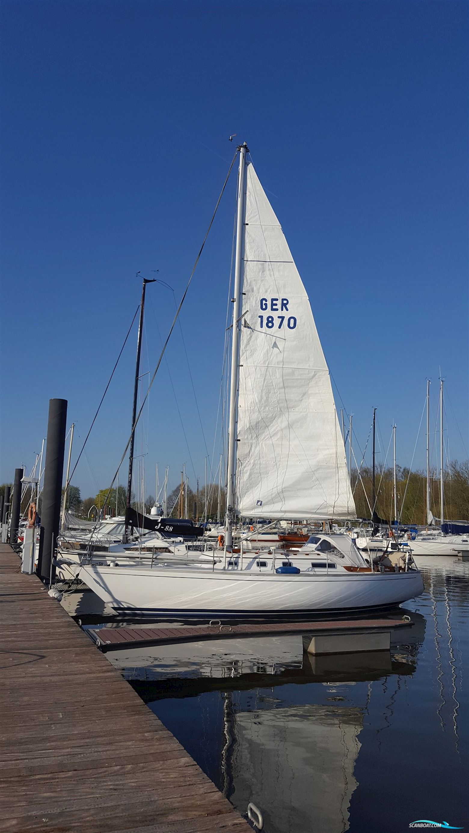 Olympia Yachts Carter 33