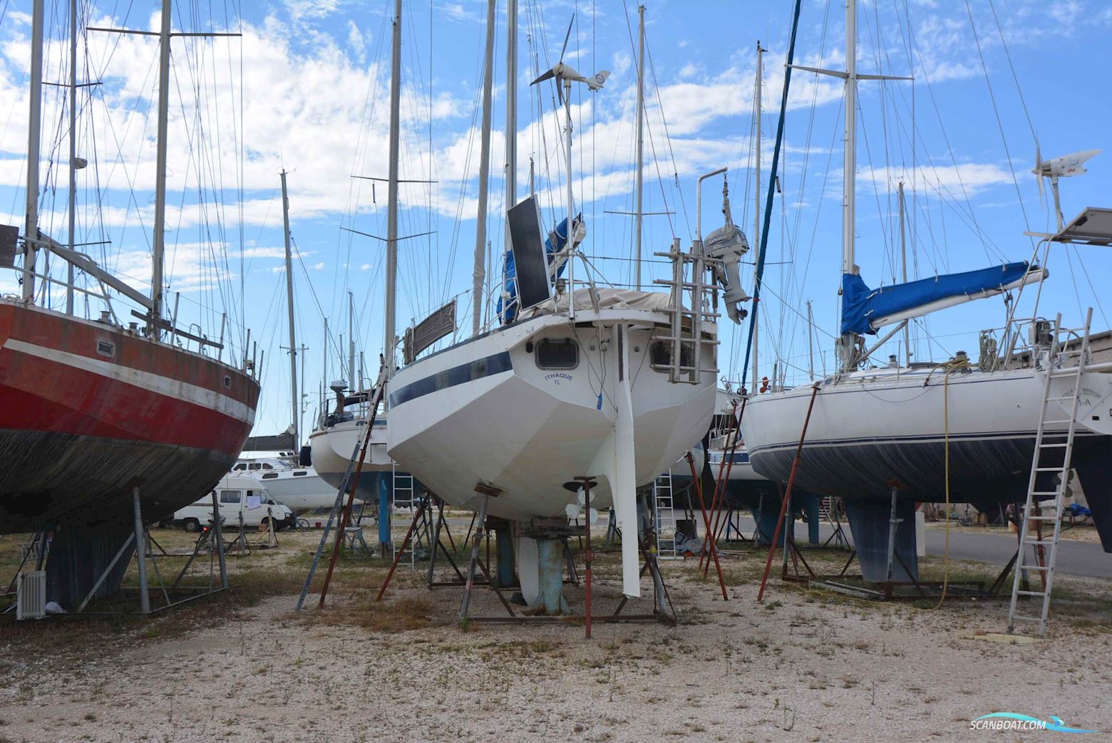Omn DI Colan Marco Reve Des Tropïques
