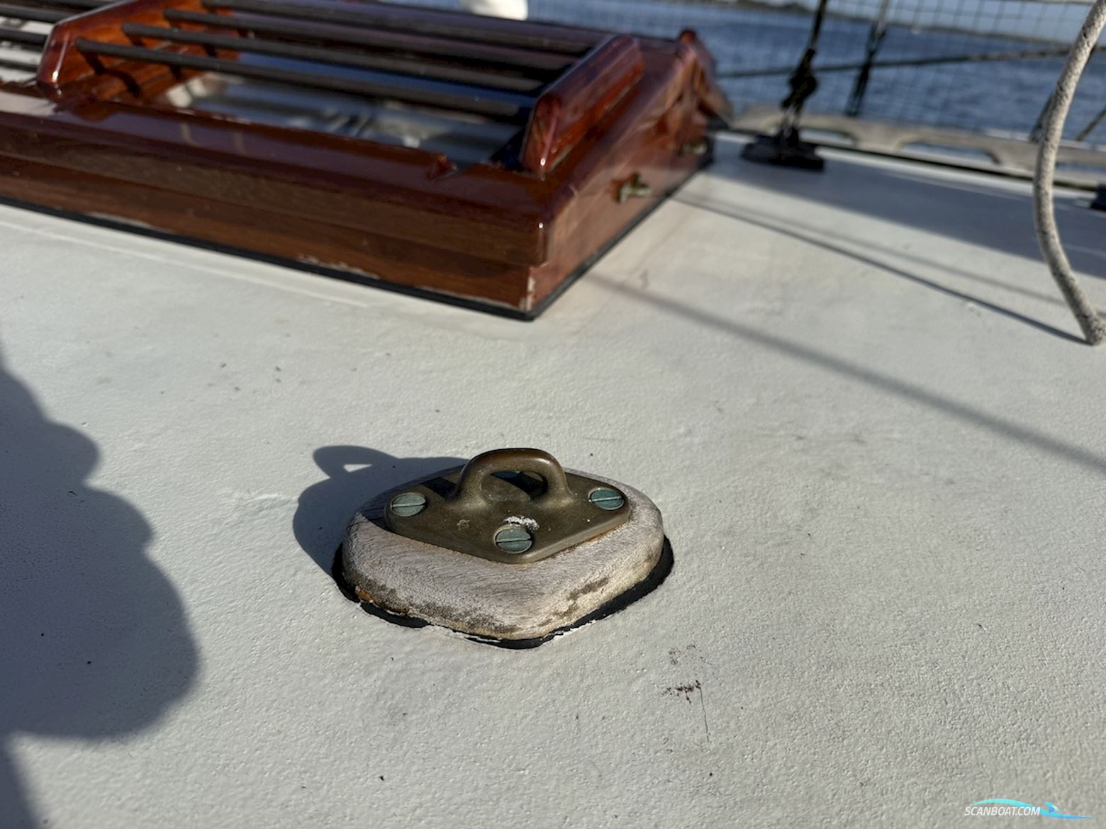 Orca 38