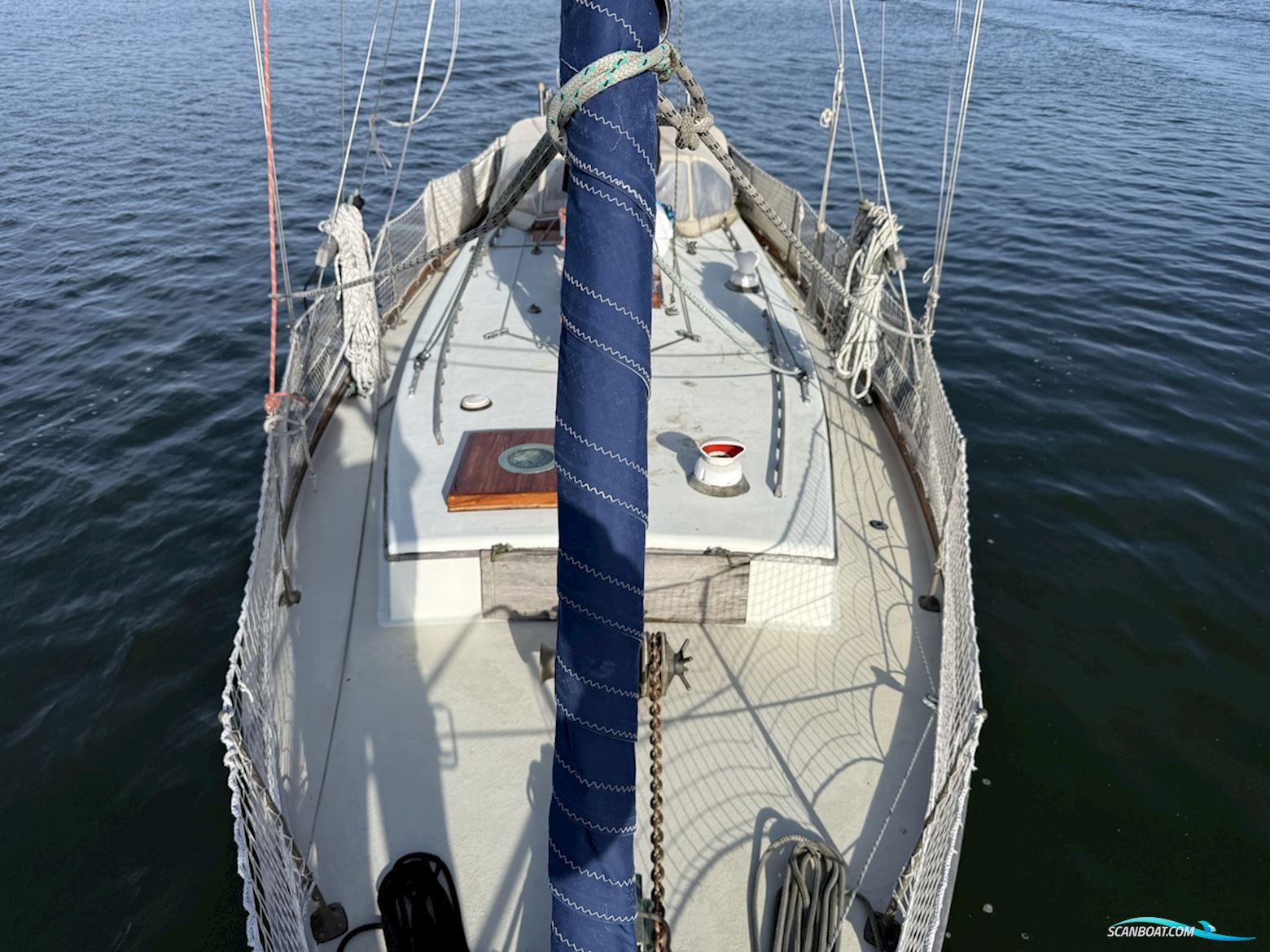 Orca 38