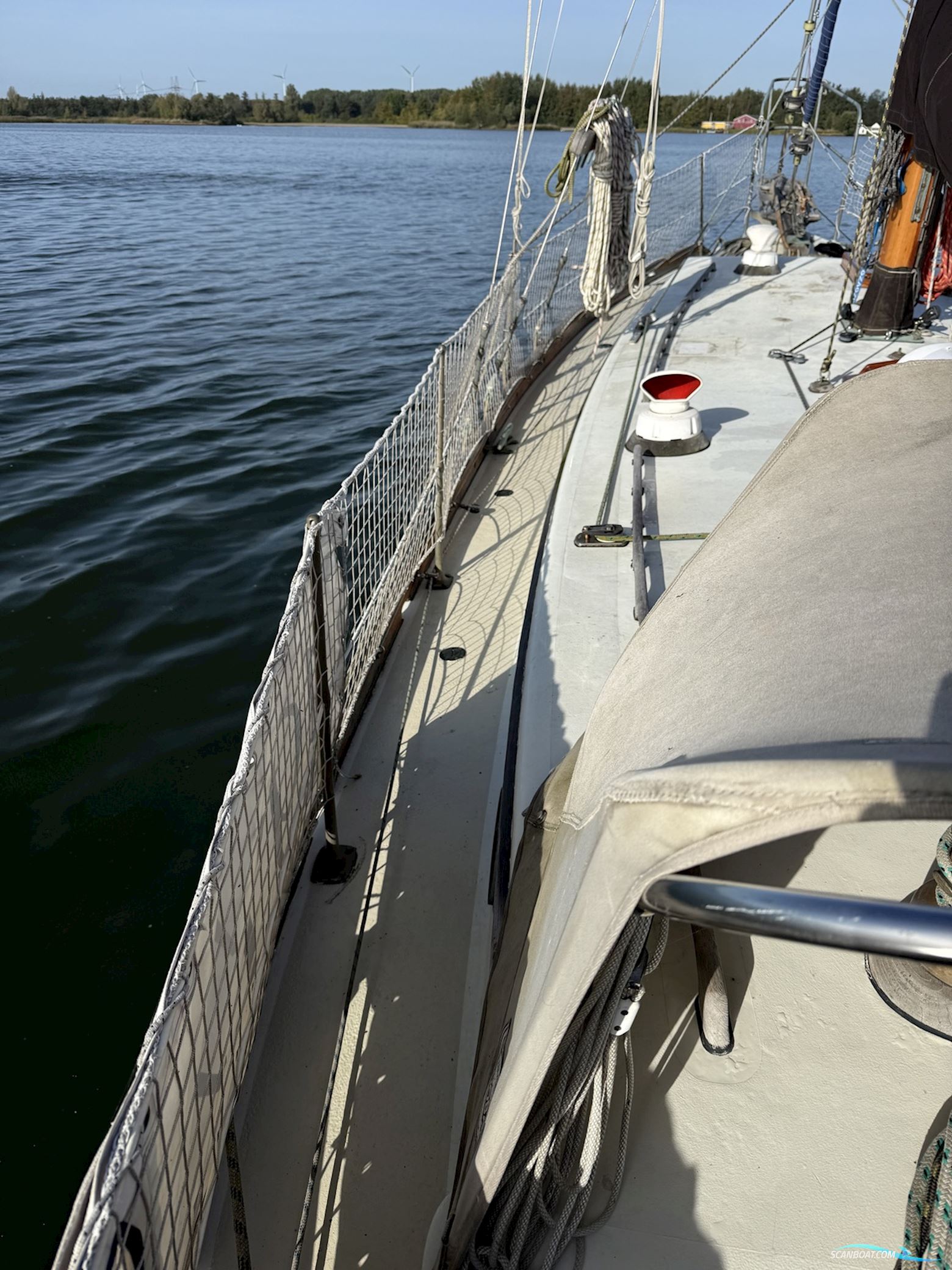 Orca 38