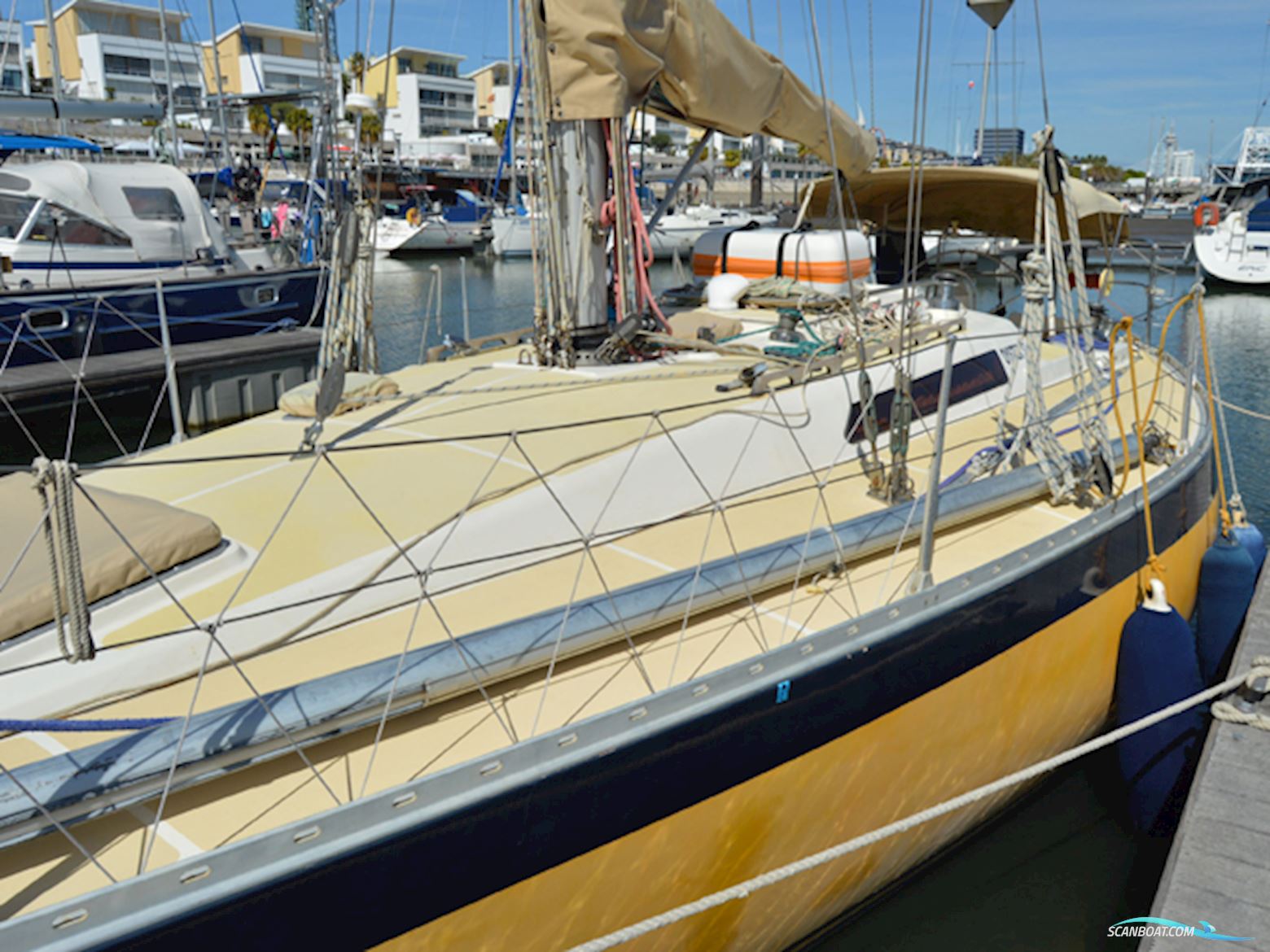 Oyster 37