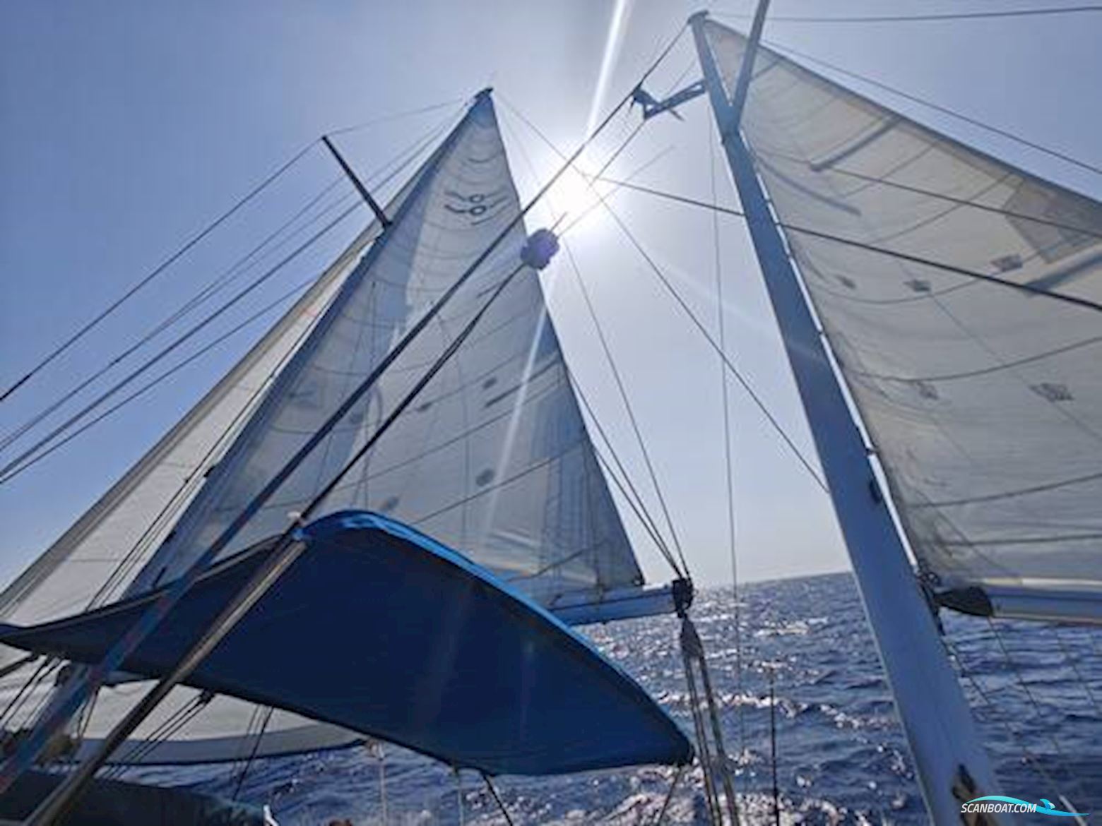 Oyster 39