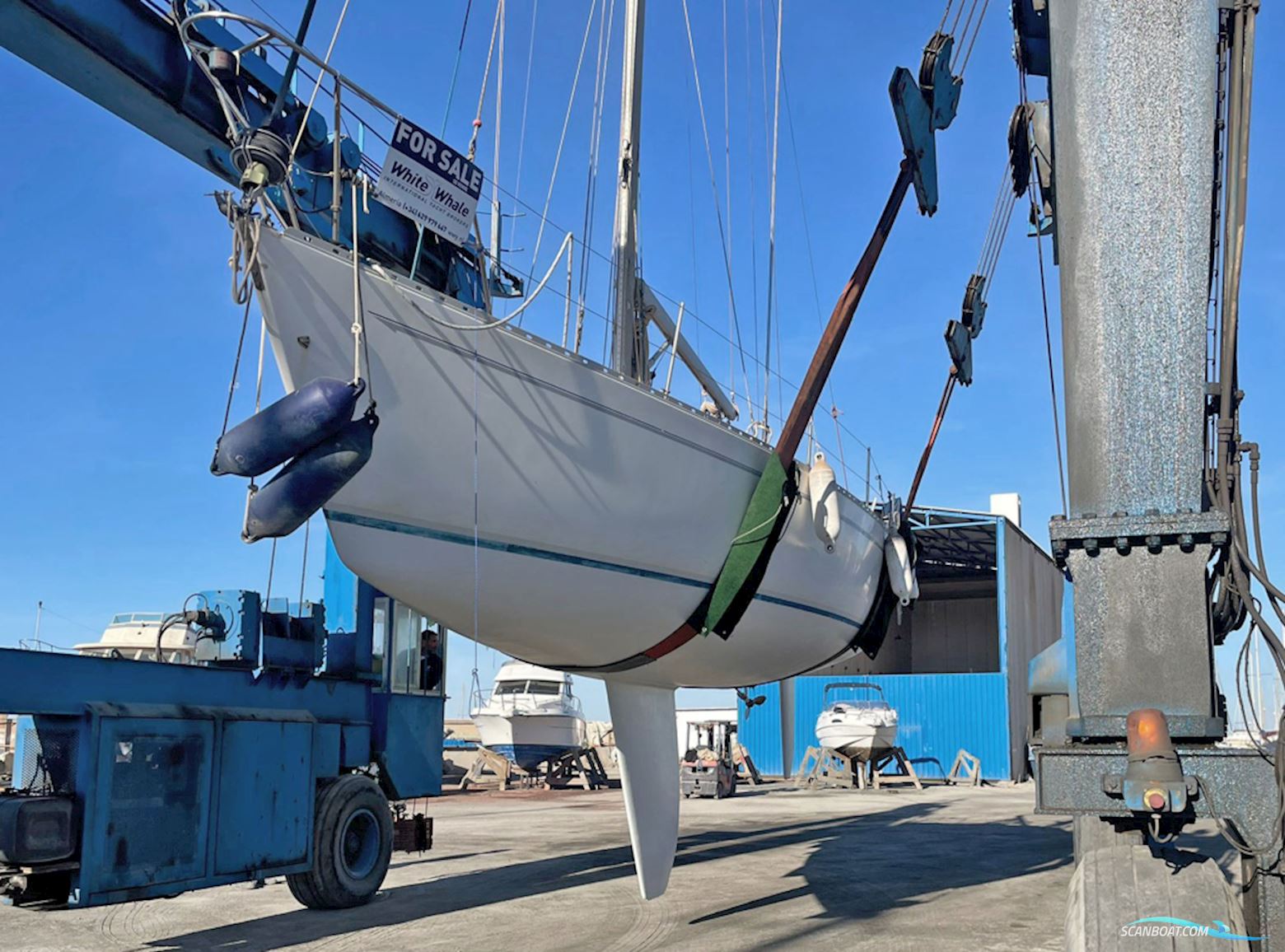 Oyster Lightwave 395