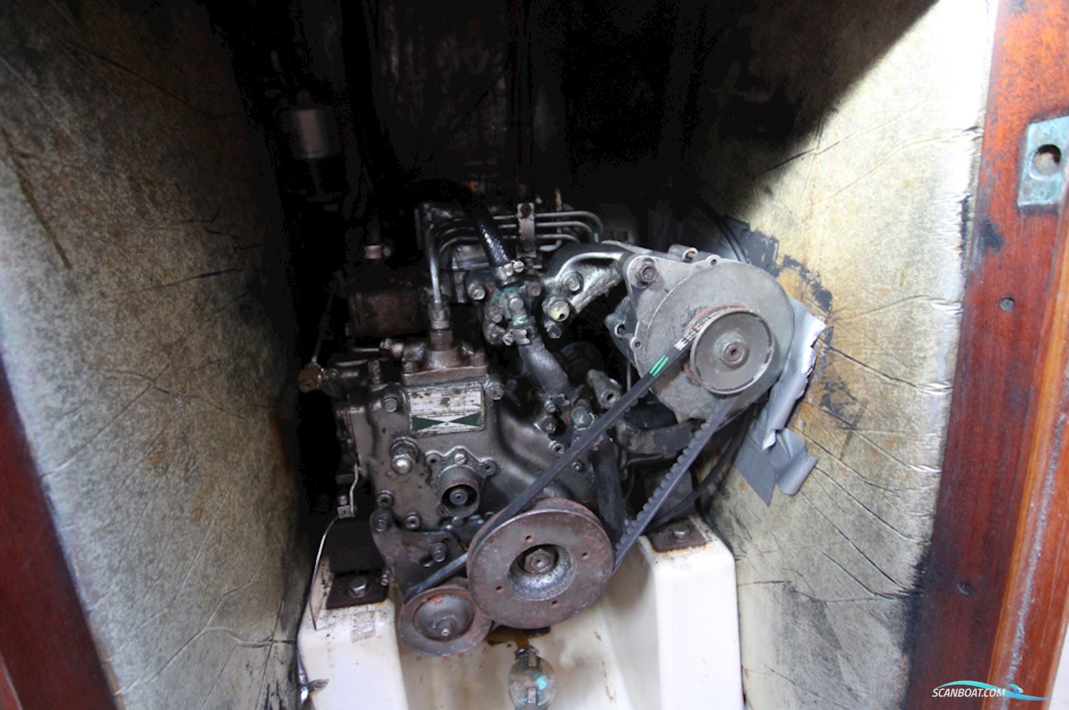 Oyster Lightwave 395