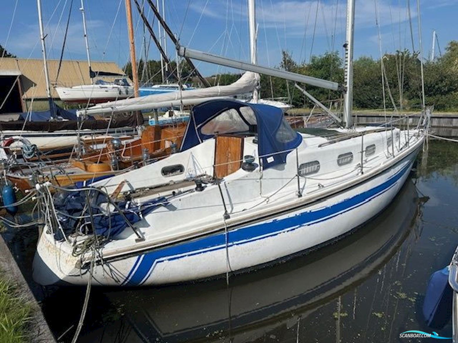 Phantom 34 Segelbåt 1979, med Bukh DV20M motor, Holland