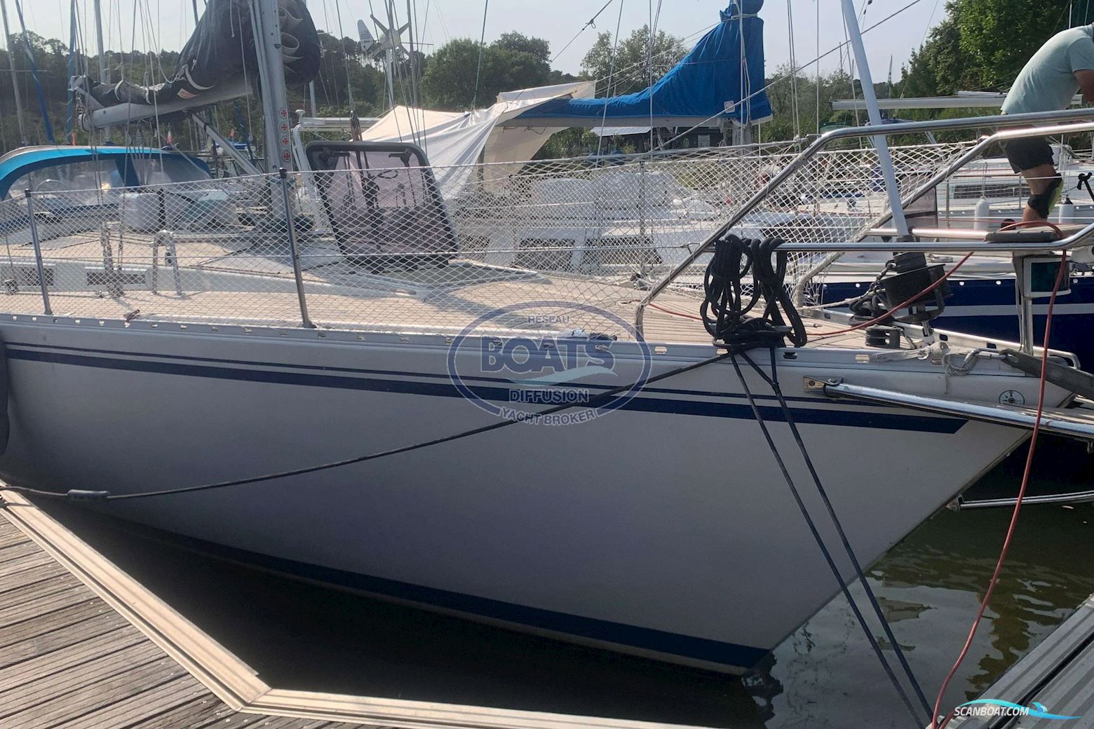 PUZZLE MARIN PUZZLE 36