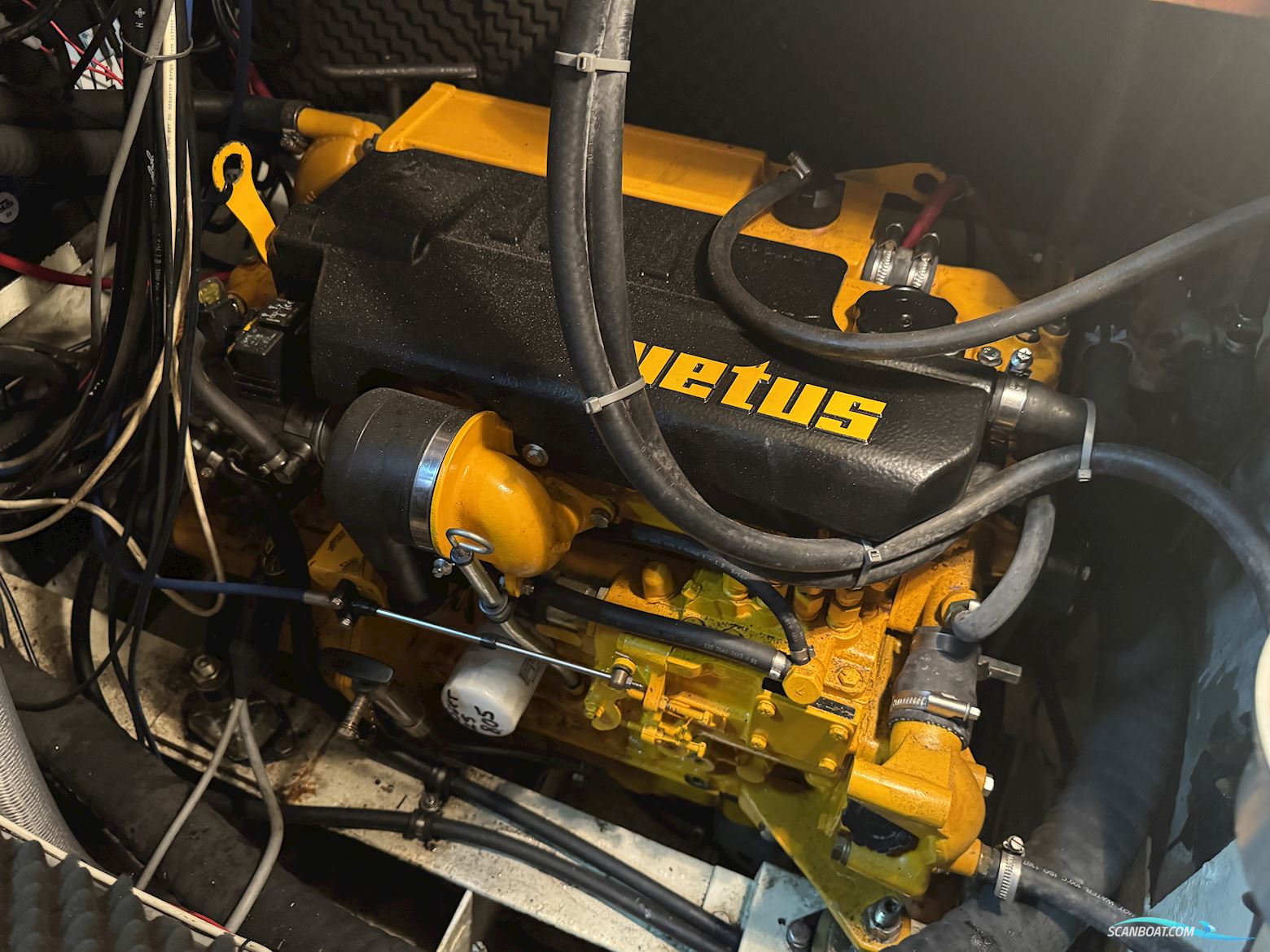 Rajo 37