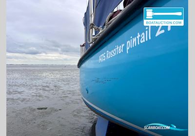 Rossiter Pintail 27 Segelbåt 1975, med Beta Marine motor, Holland