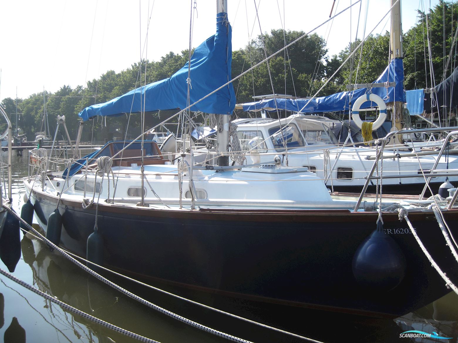 Rustler 31