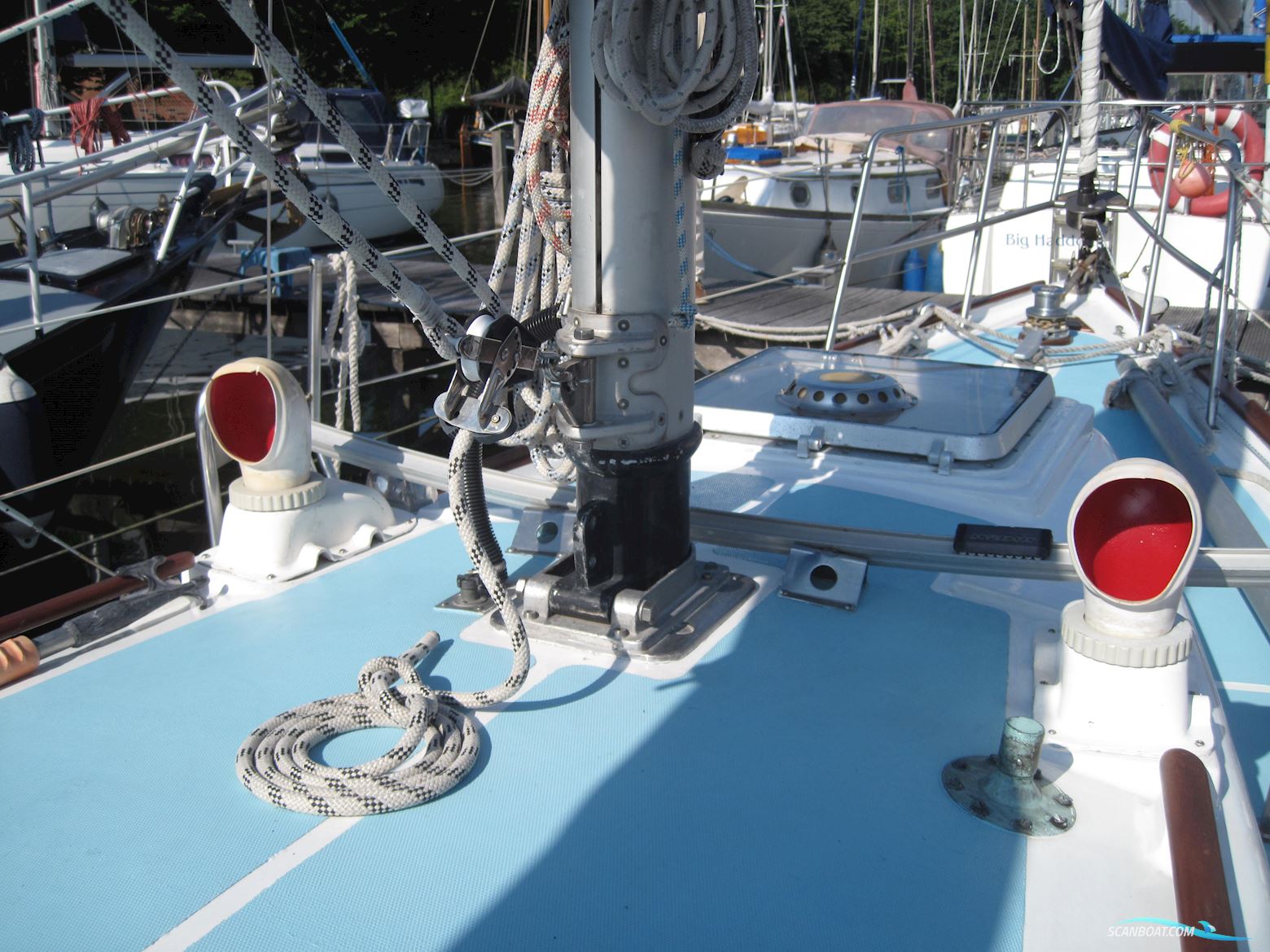 Rustler 31