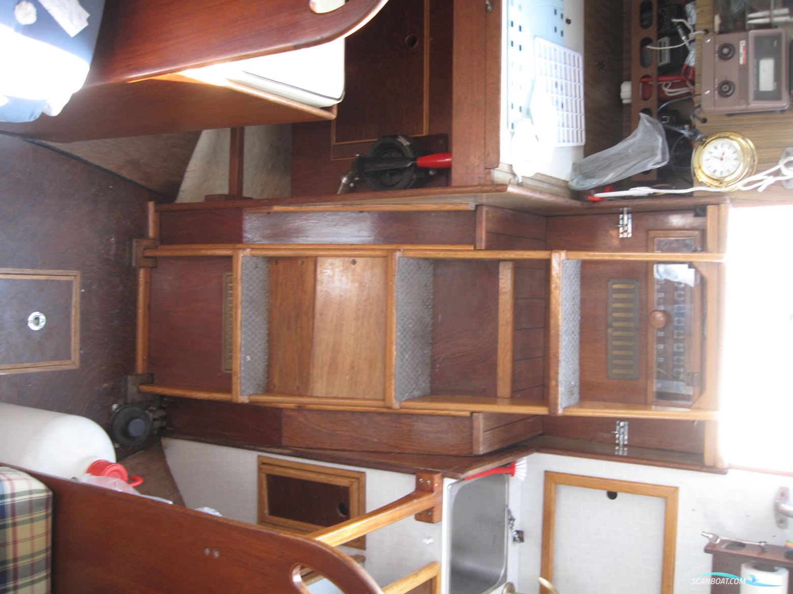 Rustler 31