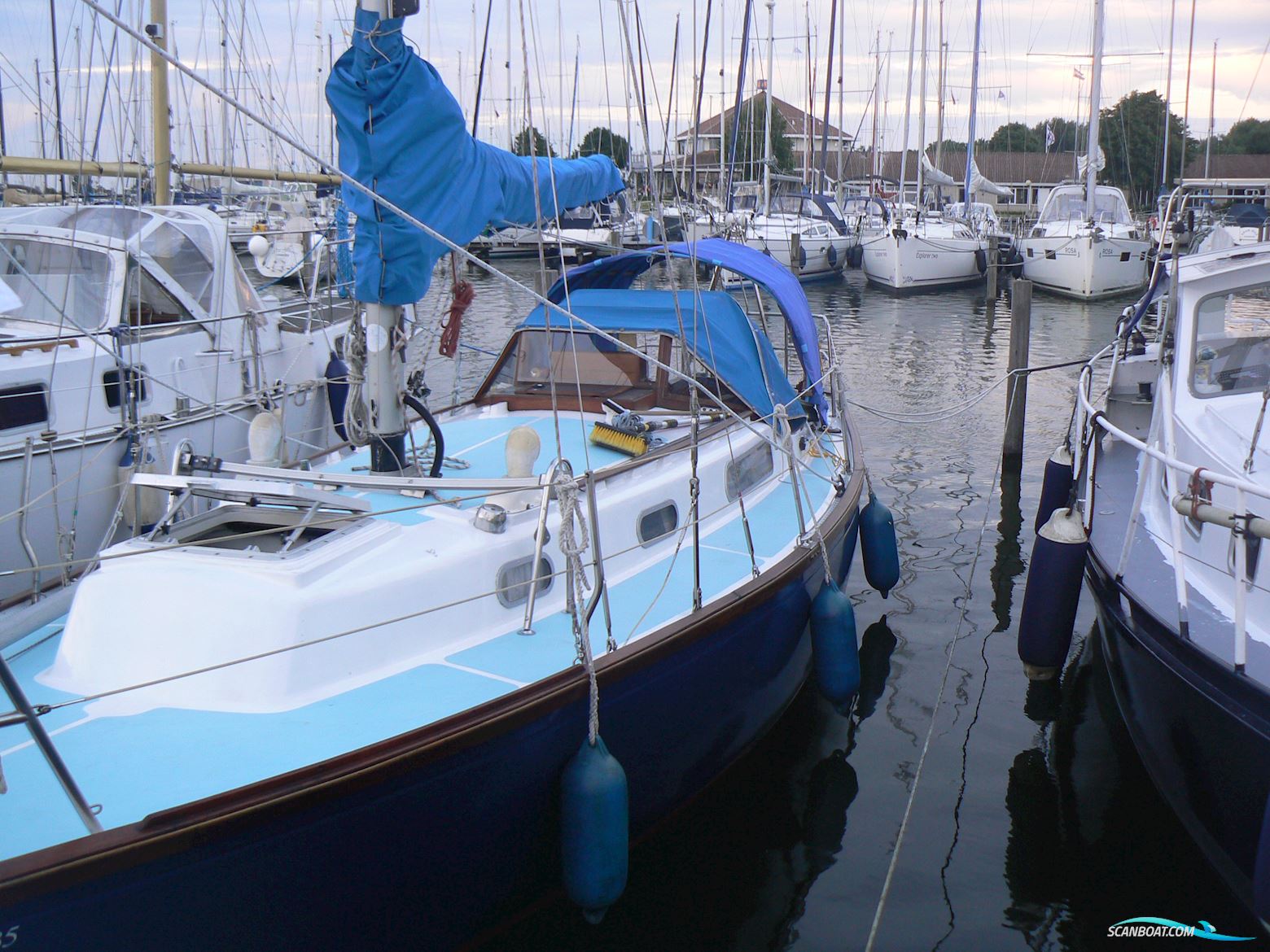 Rustler 31