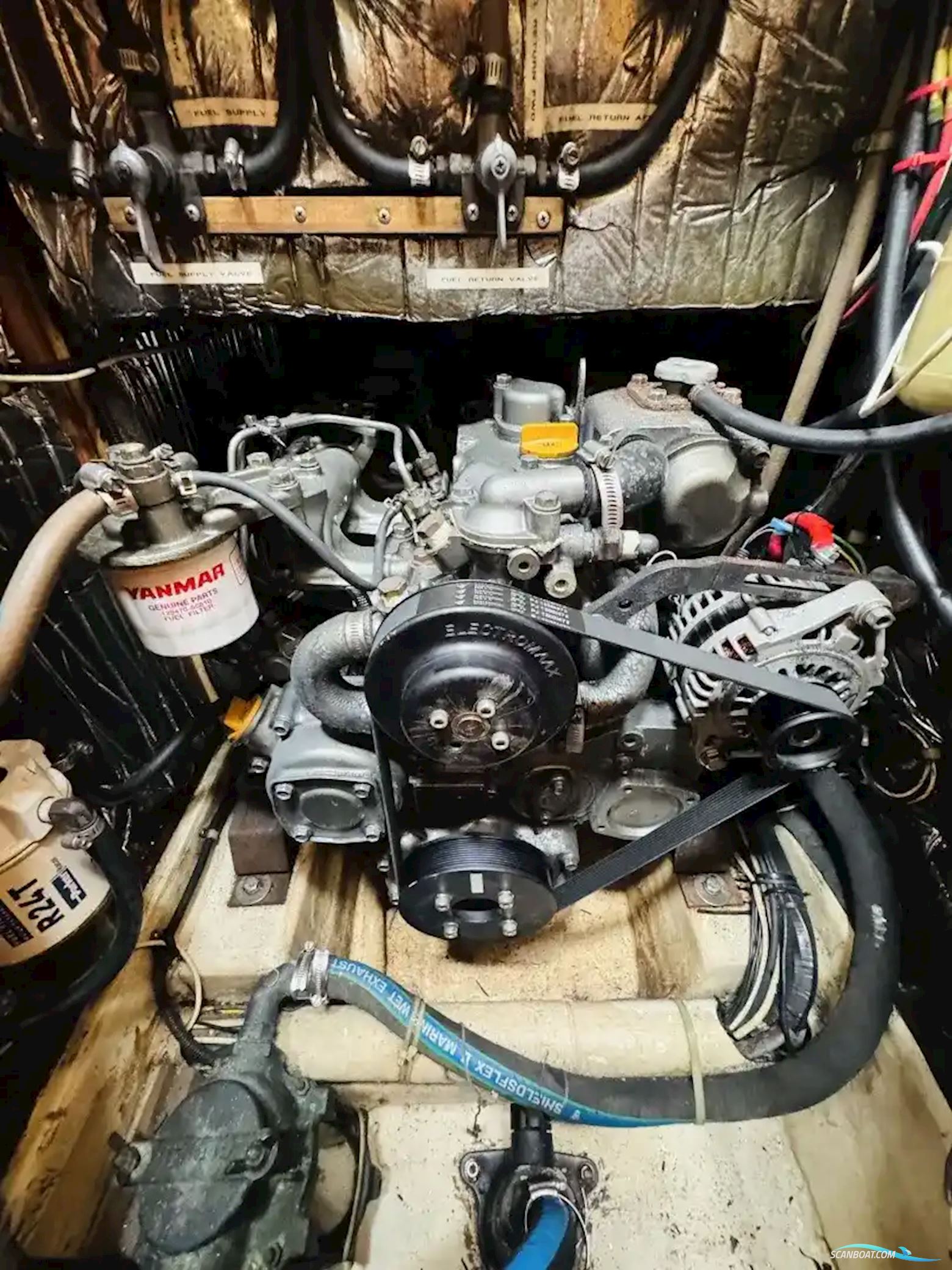 Saga 43