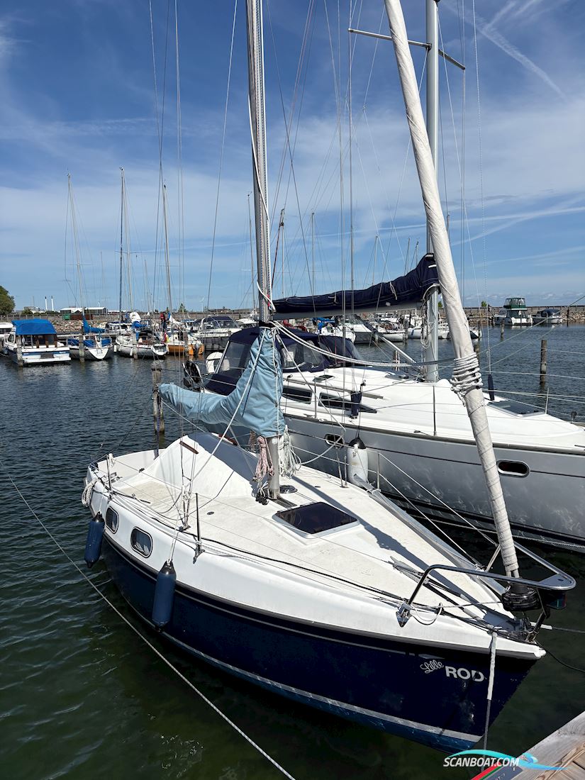 Sagitta 20