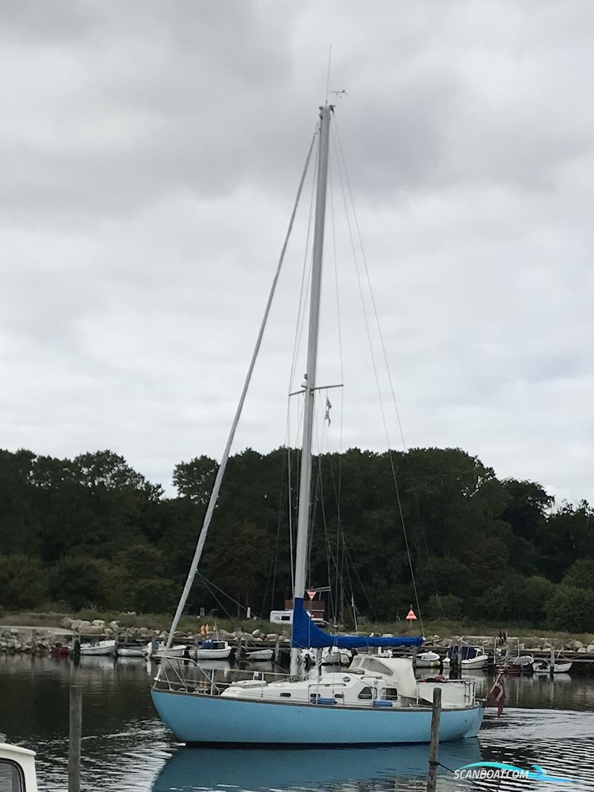 Sagitta 30 Segelbåt 1978, med Bukh DV20 motor, Danmark