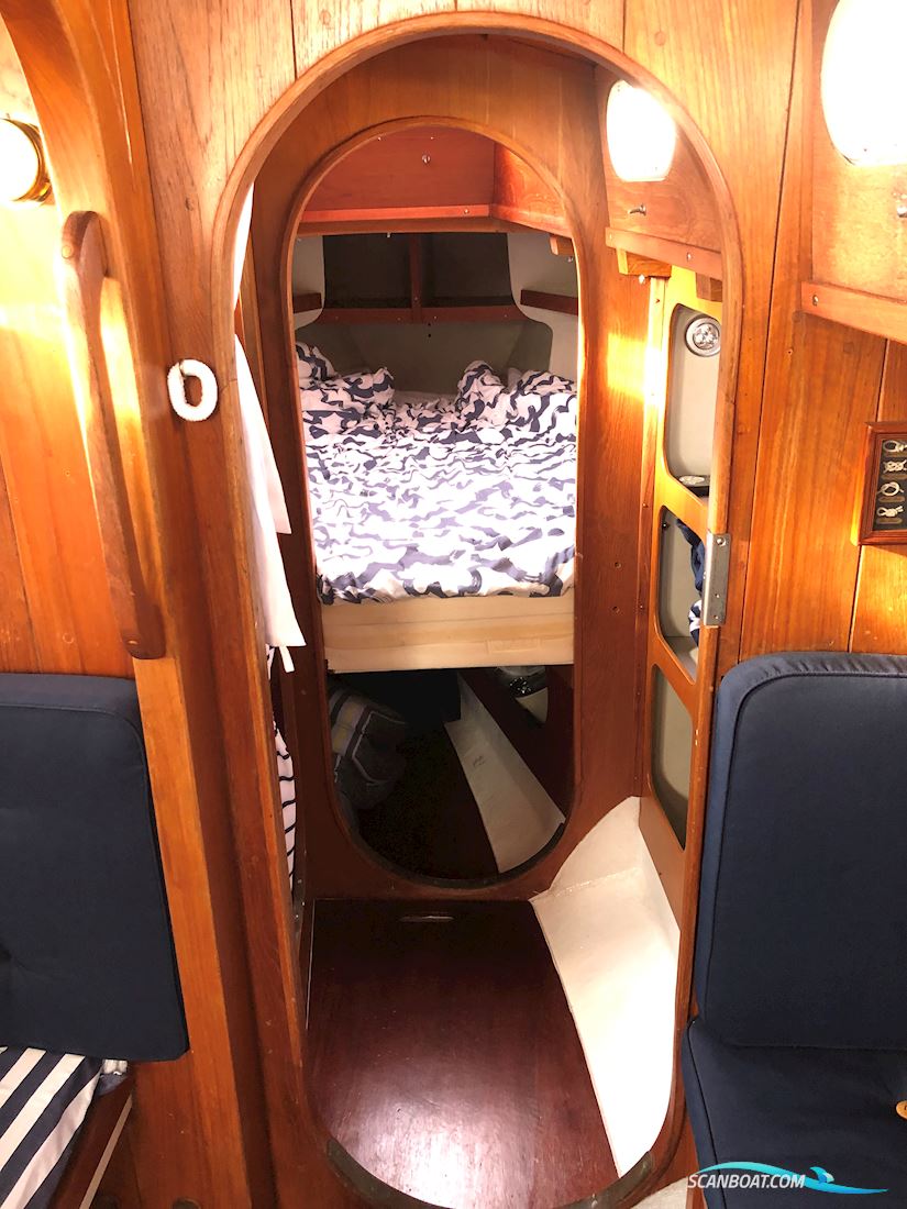 Sagitta 30