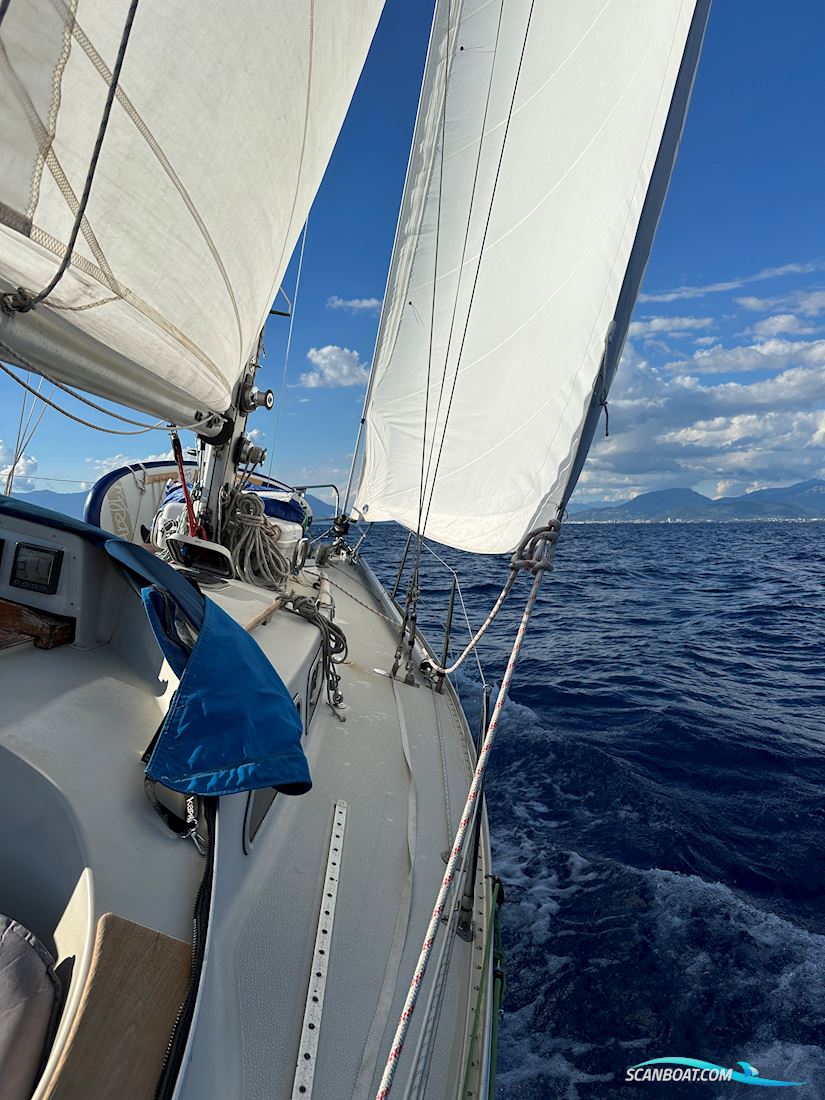 Sagitta 35
