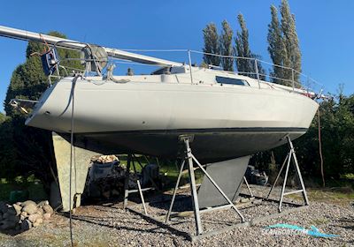 Scampi 30 Segelbåt 1975, med Yanmar Ysm12 motor, Danmark