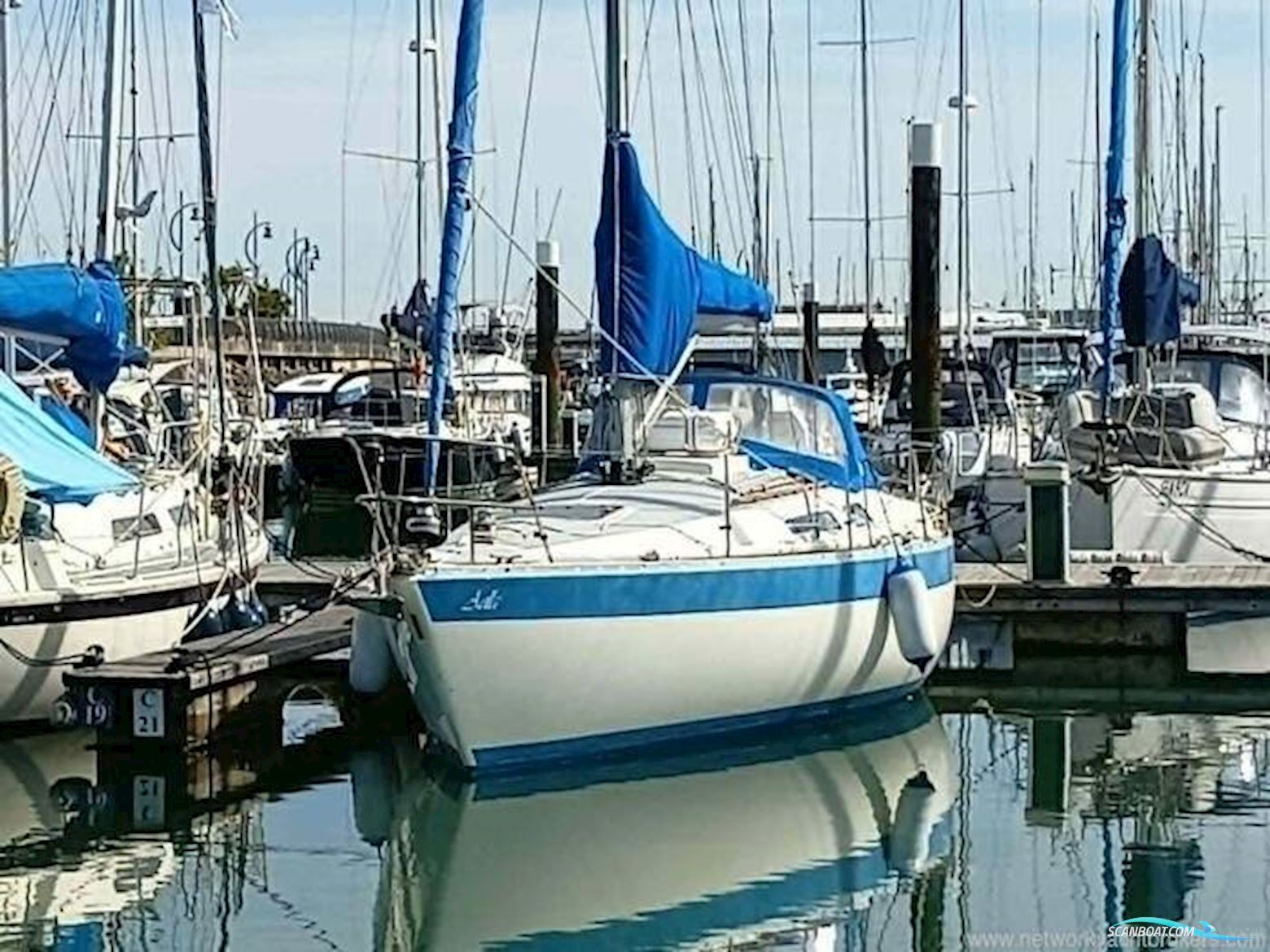 Scanmar 33