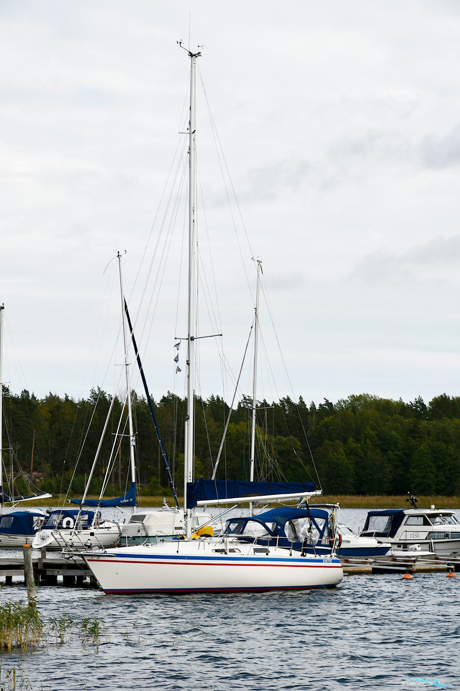 Scanmar 345