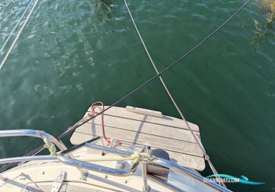 Scanmar 345 Segelbåt 1988, med Volvo Penta motor, Danmark