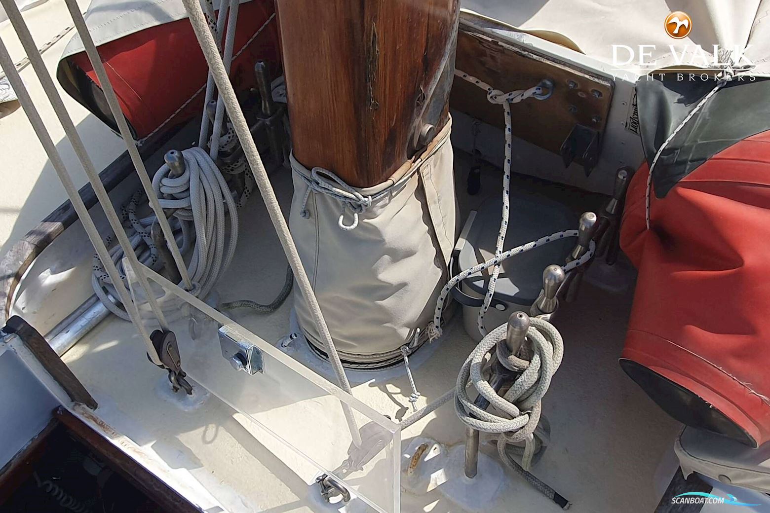 Sciarrelli Schooner