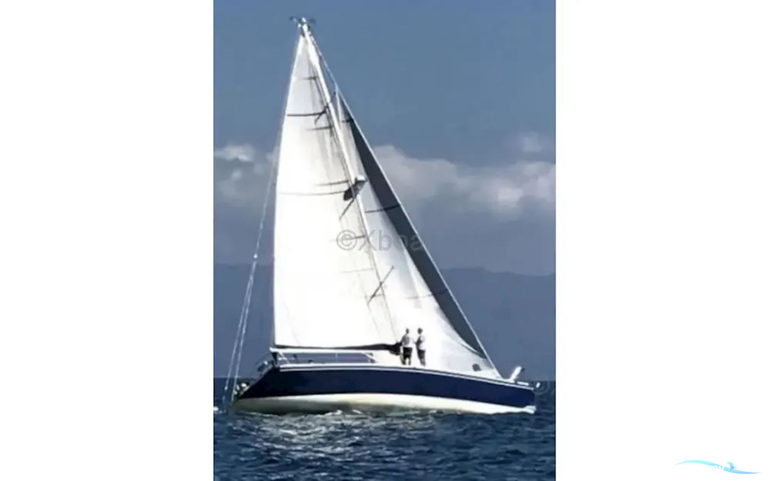 Shark 50